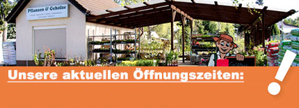 Pflanzen und Geölze